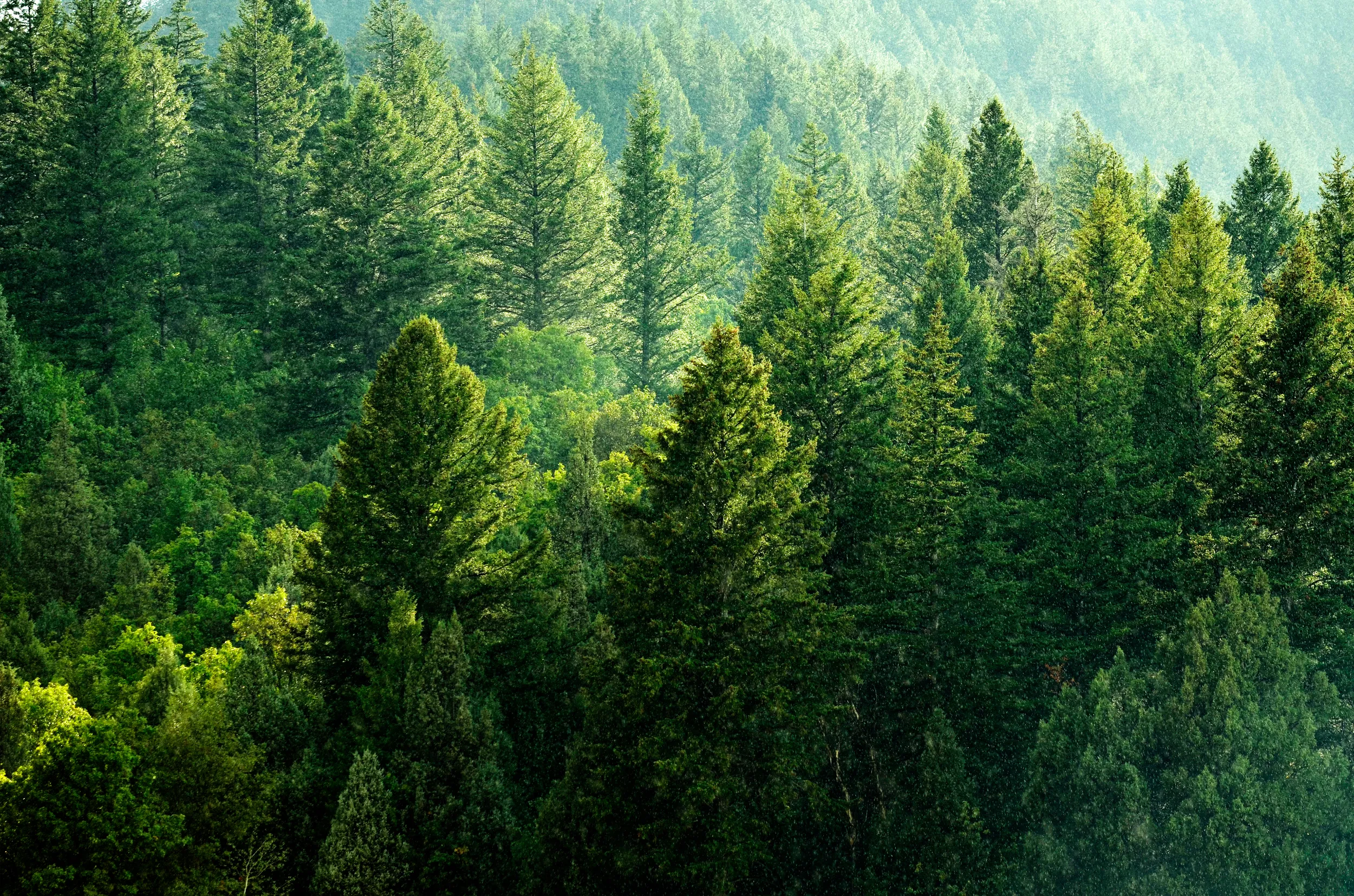 environmentl printing